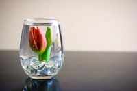 DIY Submerged Flower Arrangements