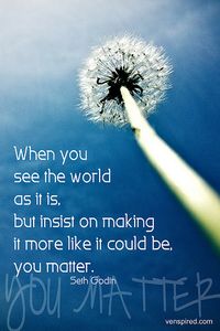 When you see the world as it is but insist on making it more like it could be, you matter. - Seth Godin #quote #sethgodin