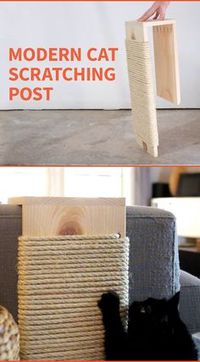 Save your furniture from claws with a stylish cat scratching post.