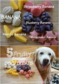 Fruity Frozen Dog Treats