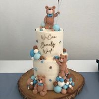 We Can Bearly Wait Acrylic Cake Charm Set Bearly Cake Charm Baby Shower Cake Charm Cake Plaque Boy Baby Shower - Etsy