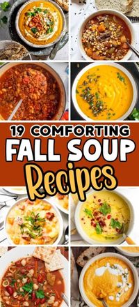 19 Best Fall Soup Recipes to Add to The Rotation This Season - ZEN AND HONEY