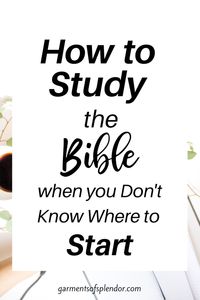 How to Study the Bible for Beginners: The Ultimate Guide -