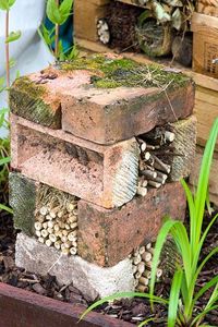 Arranging a few old bricks on top of each other makes a simple insect house within minutes. The voids in each layer can be filled with old stems, twigs and other prunings collected from the garden. Bug hotel made from bricks and bamboo - © Lee Avison/GAP Photos