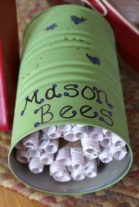 wild bee house made from tin can, toilet paper cardboard and rolled up paper! Definitely letting the kids do this!