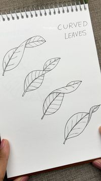 Flower Doodles | Mandala | Zen art✨ | Leaves in different perspectives 🍃 🚀 Step-by-step guide to draw curved leaves is available for download at my online store and Etsy shop… | Instagram