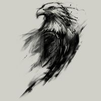 Eagle Eye T-Shirt