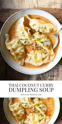 Thai Coconut Curry Dumpling Soup