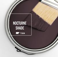 Color of the Month: Nocturne Shade | Colorfully BEHR