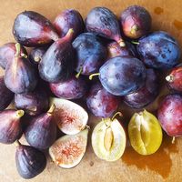 Small Batch Spiced Fig & Plum Jam | Feast In Thyme