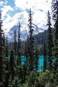 Joffre Lakes, Vancouver - Shedoesthattoo Canada Travel | Canada Destinations | Canada Honeymoon | Backpack Canada | Canada Backpacking | Canada Vacation North America #travel #honeymoon #vacation #backpacking #budgettravel #offthebeatenpath #bucketlist #wanderlust #Canada #NorthAmerica #exploreCanada #visitCanada #seeCanada #discoverCanada