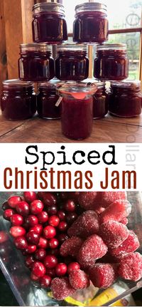 Spiced Christmas Jam - One Hundred Dollars a Month