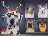 The Sims Resource - Deer Golden Antlers For Large Dogs