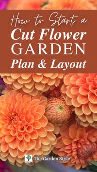 How to Start a Cut Flower Garden: Plan and Layout - The Garden Style