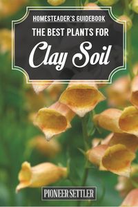 What Is Clay Soil And What Plants Does Well With This Heavy Soil? | Homesteader's Guide To Gardening by Pioneer Settler at http://pioneersettler.com/plants-for-clay-soil/