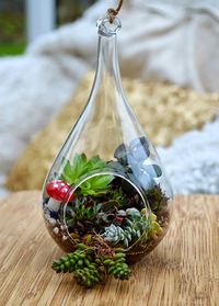 DIY SUCCULENT TERRARIUM Living artwork that's incredibly easy and inexpensive to make and take care of! #terrarium