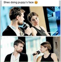 Sheo does puppy faces.