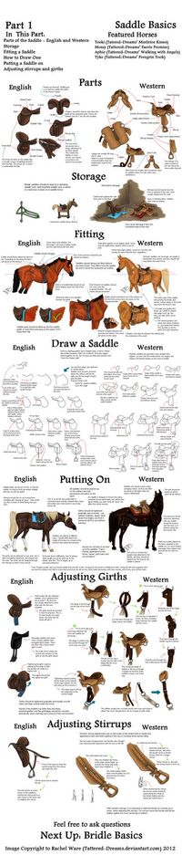 Mega Tack Tutorial Part 1 - Saddle Basics by Tattered-Dreams on DeviantArt