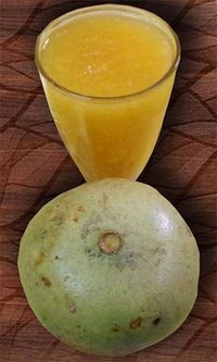 The fruit "wood apple" or Bel is very healthy and the squash, sharbat or juice made from it is very beneficial for the whole body. Drinking Bel Sharbat or juice (wooden apple squash) during fasting days keeps the body energized. #sharbat #beldrink #woodapplesharbat #beldrink #woodappledrink #smoothie #summerdrink