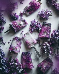 Jul 24, 2020 - Jump to Recipe Lilac season is here! Yay! I love using edible flowers in my food, they’re so pretty and they all have their own herb-like or even spicy taste. These pretty flower popsicles can