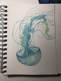 #aquarel #watercolor #jellyfish #turquoise #art #painting