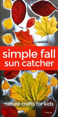 A lovely fall leaf craft for kids, these gorgeous fall leaf sun catchers to stick on classroom or homeschool windows are a wonderful way to explore fall colours and leaves with children. #fallcraftsforkids #fallcrafts #leafcraftsforkids #leafcrafts #autumncrafts #autumncraftsforkids #fallkidscrafts