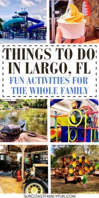 Looking for things to do in Largo Florida? Check out these Largo activities, perfect for a trip to the Clearwater Florida area. There is lots of things to do for families in Largo, ready to be explored!