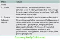 PEDIATRIC CLINICAL METHODS NOTES Anatomy Study Guide