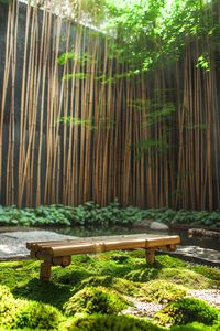 15 Transformative Tips for Creating a Serene Zen Garden – Everyday Inspo