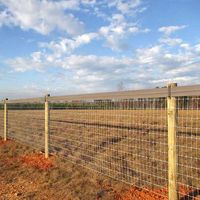 RAMM 2x4 Non-Climb Wire Mesh Horse Fence | RAMM Horse Fencing & Stalls #horsefence #rammfence #wiremeshfence #meshwire #wiremesh #nonclimb #nonclimbmesh #noclimbmesh #horses #equestrian #horseproperty