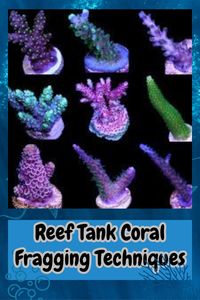 Unlock the secrets of coral propagation with our guide to fragging techniques for reef tanks. Whether beginner or pro, get step-by-step instructions and expert tips for safely fragmenting corals. Learn tools and methods for soft, LPS, and SPS corals, promoting healthy regrowth and water quality. Expand your collection and contribute to marine diversity with our help! #CoralPropagation #ReefTank #FraggingTips #MarineAquarium 🌊🐚✂️