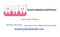 Question 14. Define centric relation. Classify the methods of registering centric relation in a completely edentulous mouth and describe any one method in detail. Answer: Centric relation Definition The maxillomandibular relationship in which the condyles articulate with the thinnest avascular portion of their respective discs with the complex in the anterosuperior position against the shapes […]