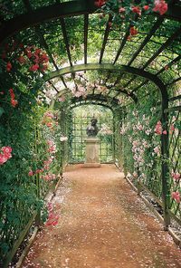 Castle garden in Dornburg, Thuringia.