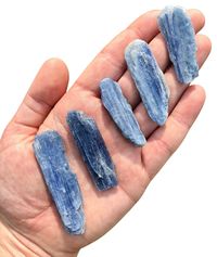 "blue kyanite (~1.5\") - raw blue kyanite - 1.5\" - 3.5\" kyanite - healing crystals & stones - protection crystal - blue kyanite - chakra stone Listing is for one (1) blue kyanite blade. These are STOCK PHOTOS. Because they are natural stones, Blue Kyanite pieces will vary in size, shape, color and other natural characteristics. Three sizes to choose from: - Small: ~1.5\" - 2\" - Medium: ~2\" - 3\" - Large: Over 3\"+ Blue Kyanite is thought to help with communication issues. It is especiall