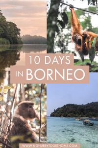 Ever dreamed of seeing orangutans in the wild and exploring rugged jungles? I’m convinced Borneo is the best destination in Southeast Asia and this 10 day itinerary covers the highlights of Malaysian Borneo, including several national parks, a whole lot of wildlife spotting opportunities, amazing beaches, and more!