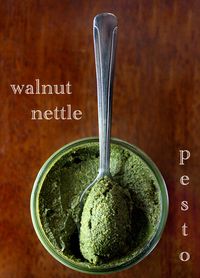 walnut nettle pesto by Salt Fat Whiskey