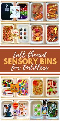 Fall Sensory Bins (including Halloween and Thanksgiving sensory bin ideas!) - Fab Everyday