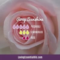 Rosy Diffuser Blend by Loving Essential Oils