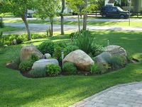 Mix landscape bed with large rocks