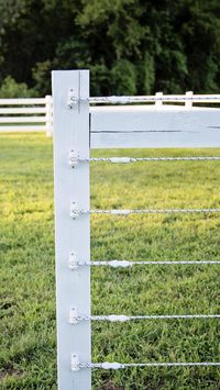  

Pro-Tek braided electric horse fencing comes in 1320' rolls and has become a popular choice for horse owners because it's economical and visible. 

There are 16 stainless steel conductors woven through the polyester fibers so you can be sure you're getting strength, flexibility, rust resistance, and a psychological deterrent (keeping horses and unwanted guests/predators away from the fence). Pro-Tek braided electric has a 1/4” diameter rail and comes in the color of white with a black tracer; creating a speckled appearance.

https://www.rammfence.com/fence/electric-horse-fence/pro-tek-braid/electric-horse-fence-1320-foot-roll

