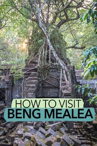 How to visit Beng Mealea from Siem Reap in Cambodia. The Khmer temple of Beng Mealea is an eerie sight covered in jungle, but that makes it one of the best things to do around Siem Reap. Taking a tour to Beng Mealea is the easiest way to see it, but I've got some more tips for how to visit Beng Mealea from Siem Reap when you're in Cambodia.