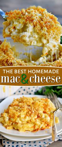 The BEST Homemade Mac and Cheese of your LIFE. Outrageously cheesy, ultra creamy, and topped with a crunchy Panko-Parmesan topping, this mac and cheese recipe is most definitely a keeper. I used three different cheese and a homemade cheese sauce to take this macaroni and cheese recipe over the top. // Mom On Timeout #recipe #recipes #dinner #cheesy #macandcheese #macaroni #entree #kidfriendly #momontimeout