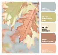 Sherwin-Williams – ColorSnap by Nancy P.                                                                   #colorsnap #snapyourcolors #letschipit