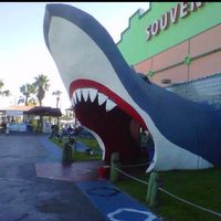 Orange Beach,Alabama - crazy huge shop - kidos needed petrified sharks!