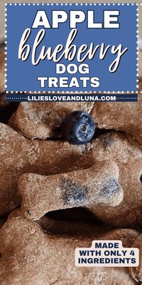 Homemade dog treats made with applesauce are a great way to show your dog some love. Our homemade applesauce blueberry dog treats recipe is easy to make. Pin this now to make applesauce dog treats for your dog.