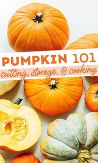 Everything you need to know about everyone's favorite fall squash…pumpkins! Different varieties, storage tips, and nutritional info for pumpkin. #pumpkin #fall #fallfood #squash