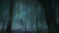 ArtStation - Scary Forest, Viktor Titov