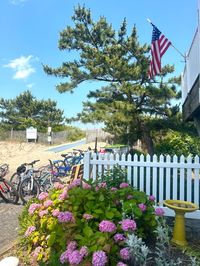 This photo book is a new Instagram-friendly driving trail that showcases the stunning images and stories from the first state, and a wonderful gift for yourself or a friend. #delaware #photobook #stunning #historic #drivingtrail