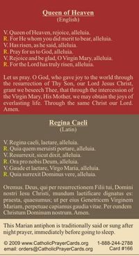 Queen of Heaven Regina Caeli Prayer 🙏🏼 #Cherubs 😇