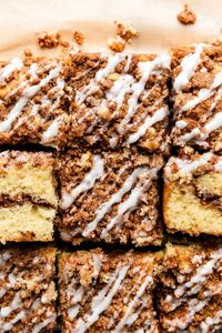 Simple and classic, this buttery cinnamon crumb coffee cake is anything but plain! Sour cream ensures a moist, light (not overly heavy and dense) breakfast cake, and there's plenty of brown sugar cinnamon crumb streusel both layered in the cake and on top. Recipe on sallysbakingaddiction.com